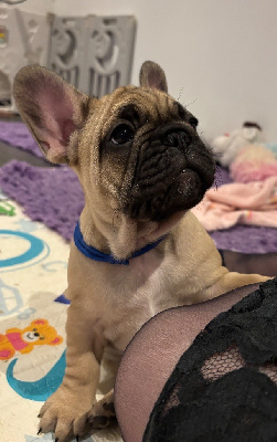 À ´ Marcel 